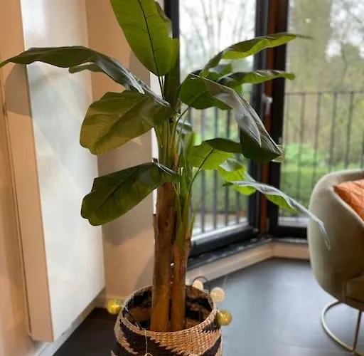 Appartement Chic, Luxe Loftstijl In