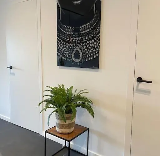 Chic, Luxe Loftstijl In * Oostende