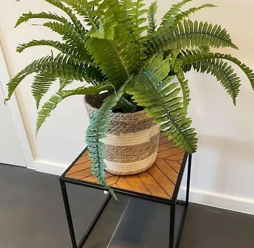 Chic, Luxe Loftstijl In