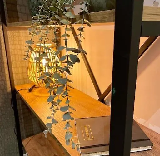 Apartman Chic, Luxe Loftstijl In *