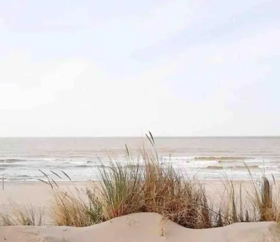 Chic, Luxe Loftstijl In Apartman