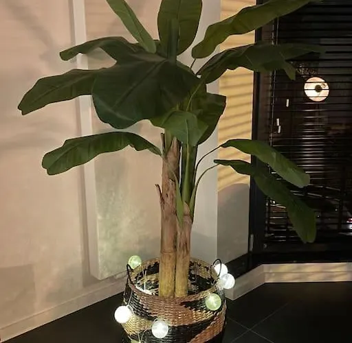 Apartman Chic, Luxe Loftstijl In